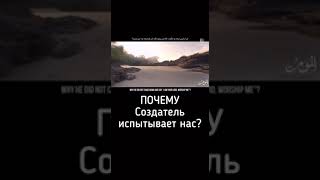 Почему Создатель создал нас ??