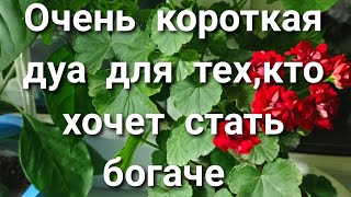 ОЧЕНЬ КОРОТКАЯ ДУА ДЛЯ,КТО ХОЧЕТ СТАТЬ БОГАЧЕ