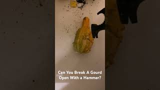 Can You Break a Gourd With a Hammer?