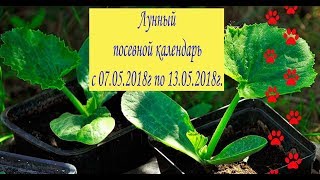 Лунный посевной календарь с 07.05.2018 года по 13.05.2018 года.