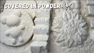 Covered in Powder 🐩 | So Satisfying ASMR