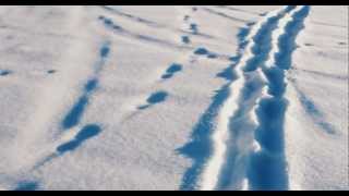 Walking through Alaskan Powder