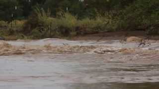 Berrendo River Flood Urton Road