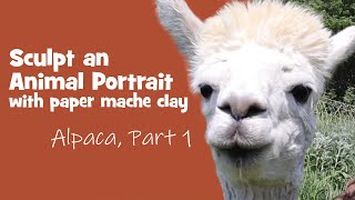 Sculpt an Alpaca with Paper Mache Part 1