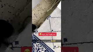 لقى ثعبان عند رجله