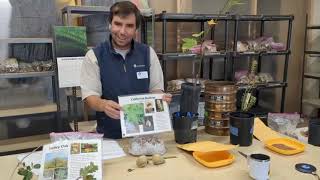 Live from the Native Plant Nursery: Winter Seed Searching, Selection, and Prep