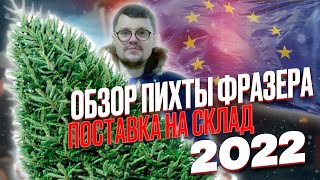 Поставка Пихты Фразера 2022