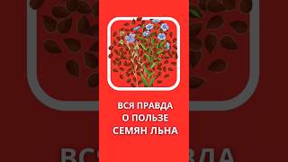 ВСЯ ПРАВДА О ПОЛЬЗЕ СЕМЯН ЛЬНА | IVITAUSA.RU | #iherb #айхерб #здоровье #пп