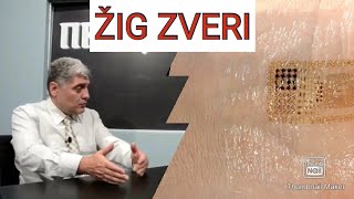 ŽIG ZVERI- NE MOŽEŠ KUPITI NI PRODATI! MIROLJUB PETROVIC.