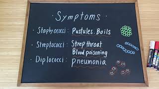 State Board Cosmetology Exam microbiology, infection ② : principles & practices