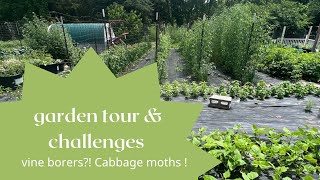 Squash Vine Borers in ACTION! Garden Tour & Updates!