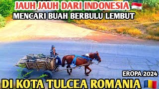 INDONEZIYSKIYe LYUDI 🇮🇩 DNEVNOYe BRONIROVANIYe V TULCHA KHILLS V RUMYNII 🇹🇩