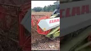 Mini harvester #agriculture #virelvideo #cotton #treading #shortfeed