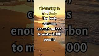 Amazing How Much Carbon Is In Your Body #shorts #facts #didyouknow #curiousfacts #curiosityboost