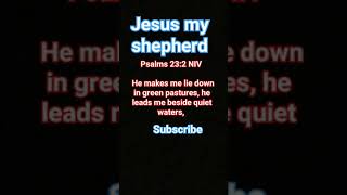 jesus  my shepherd