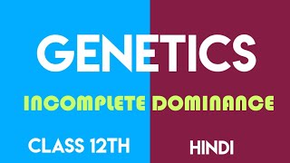 Incomplete Dominance || Genetics || Class 12th || By Be Educated