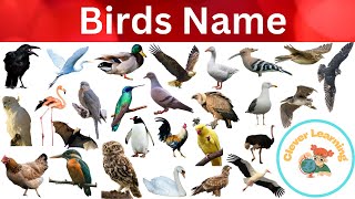 Birds name with picture in English