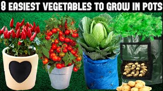 Top 8 Easy To Grow Vegetables For Beginners|SEED TO HARVEST