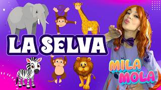 Mila Mola - LA SELVA 🌿🍃 Descubre la selva animal - para niños