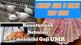 Usaha Sampingan Hasil Bisa kalahkan Gaji UMR,Cukup jual 5 Ekor saja sehari @KarilArdiansyahDaiRil