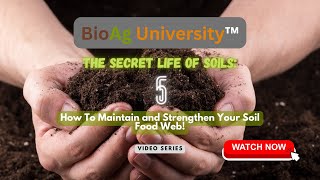 How To Maintain! The Secret Life of Soils 5 | BioAg University™