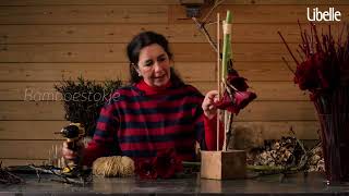 Amaryllis: 3x bloemschikken met deze fluweelzachte winterbloem