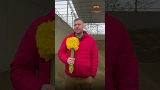 Лучшее поздравление с 8 марта. Часть 2