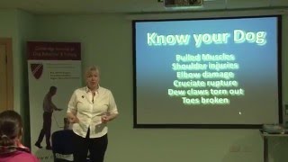 Know your dog seminar with the CFBA GODT Speakers GODT TV