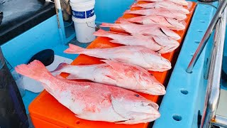 MERAH BAGONG DAY2 | UBEY ZUL BOAT CHARTER | #74