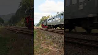 VT 98 und Br 50 Treffen  Schiefe Ebene #shorts #train #eisenbahn #railway #steamtrain  #germantrains