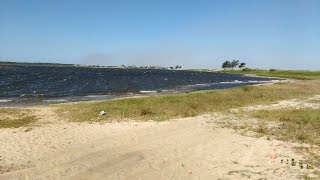 Passeio na reserva Jurubatiba à Lagoa de Carapebus/RJ - 2016.