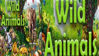 wild animal shorts Live Stream