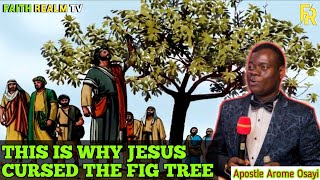 THIS IS WHY JESUS CURSED THE FIG TREE _ APOSTLE AROME OSAYI