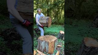 🧿Immensely satisfying overcoming a wood challenge with your axe