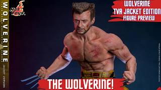 Wolverine Figure Unveiled! Hot Toys Jacket Version Preview #marvelfigures #xmen97 #xmen #avengers