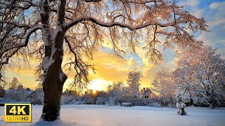 Tranquil Winter 4K Video Ultra HD with Relaxing Music Background