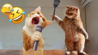 Try Not To Laugh Challenge😜Funny and Cute CAT Videos Compilation 2024😺🐶