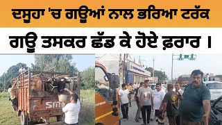 Dasuya 'ਚ ਗਊਆਂ ਨਾਲ ਭਰਿਆ ਟਰੱਕ ਛੱਡ ਕੇ ਗਊ ਤਸਕਰ ਹੋਏ ਫ਼ਰਾਰ | Cow Smuggling News Dasuya