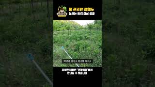 풀 관리만 잘해도 농사는 80%이상 성공 | 나무대장🌳 나무농사의 모든것