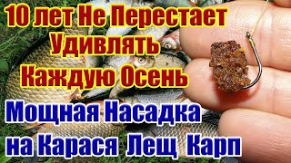 Лови по холодной воде! 10 Лет Не перестает Удивлять Каждую Осень. Насадка на карася лещ карп