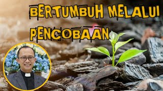 Sumardi - Bertumbuh Melalui Pencobaan