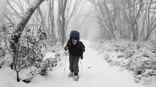 Walking back in the snow from Craig's Hut