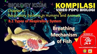 8.2   Breathing mechanism of fish