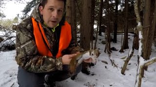 Winter Squirrel Hunts