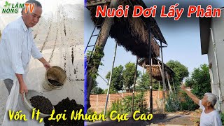 Kỹ thuật Nuôi Dơi Lấy Phân Vốn Ít Lợi Nhuận Cực Cao | Kinh nghiệm Làm Giàu hiệu quả