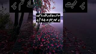 Best Urdu Poetry Urdu Shayari Sad Status Video 2023