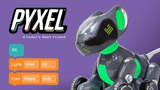 Meet PYXEL - A Coder's best Friend!