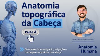 ANATOMIA TOPOGRÁFICA DA CABEÇA - PARTE 4