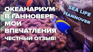 Океанариум в Ганновере - Мои впечатления / SEA LIFE Hannover / беженцы в Германии