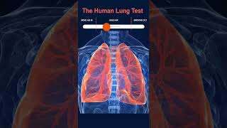 Test Human Lungs